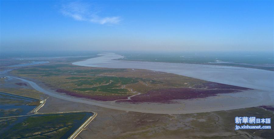 （美丽中国）（2）秀美辽河口国家级自然保护区
