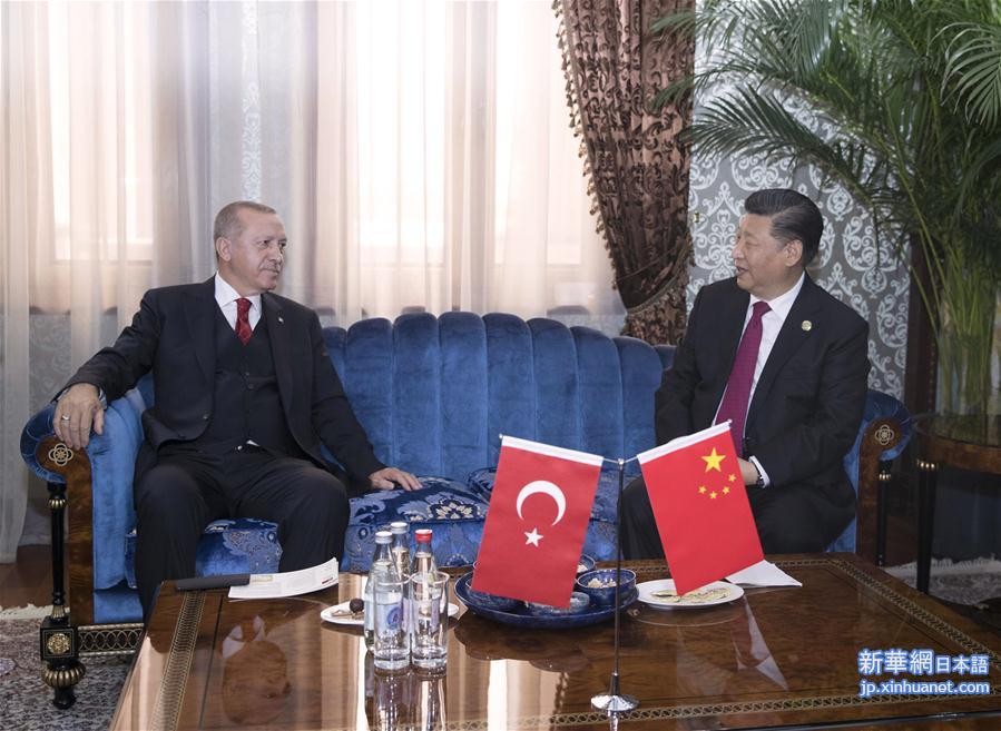 （时政）习近平会见土耳其总统埃尔多安
