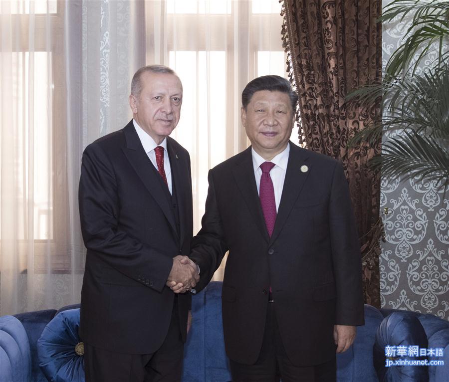 （XHDW）习近平会见土耳其总统埃尔多安