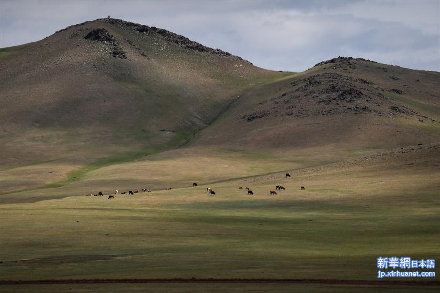 （国际）（5）蒙古国草原夏日美景