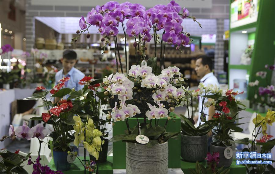 #（社会）（1）第20届中国昆明国际花卉展开幕