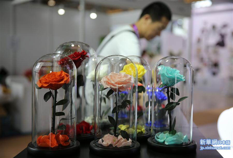 #（社会）（2）第20届中国昆明国际花卉展开幕
