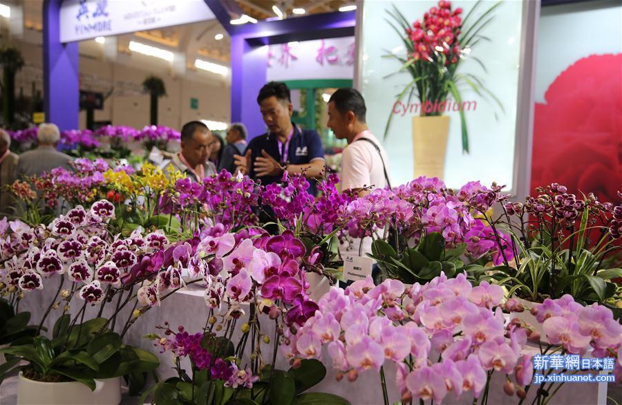 #（社会）（4）第20届中国昆明国际花卉展开幕