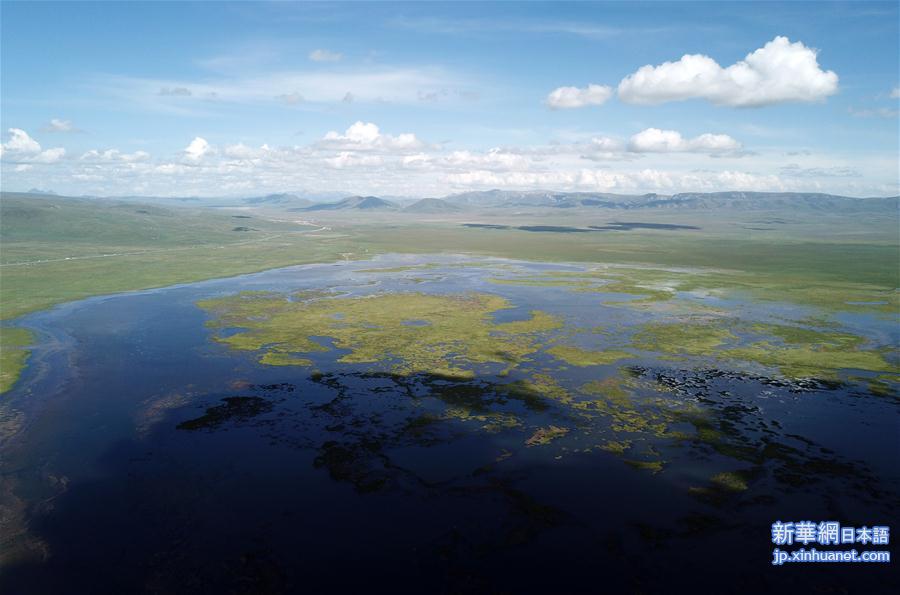 （环境）（2）甘肃尕海湖水域面积持续扩大
