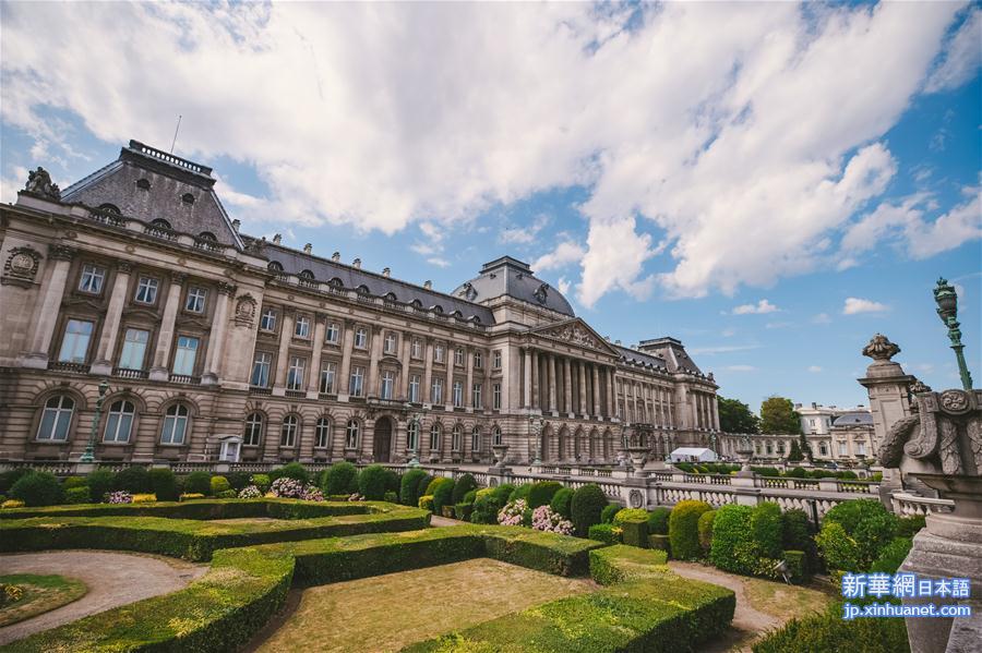 （国际）（2）比利时王宫迎来暑期开放季