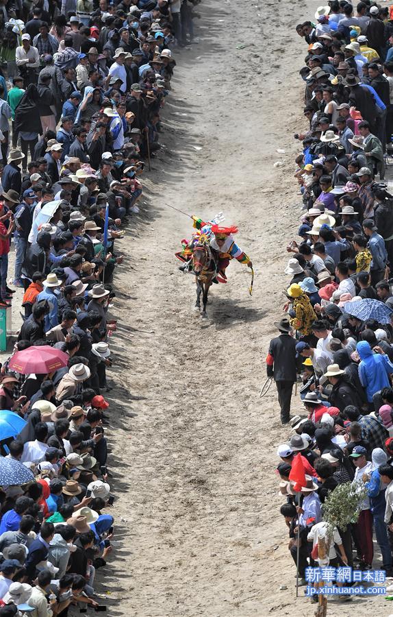 （体育）（9）拉萨河谷举行传统赛马活动