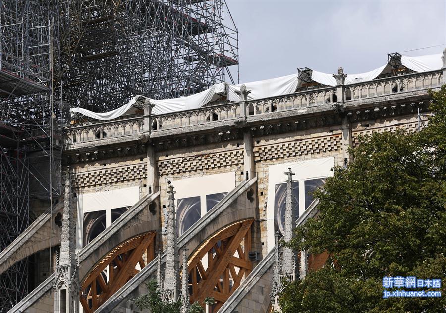 （国际）（2）修缮中的巴黎圣母院