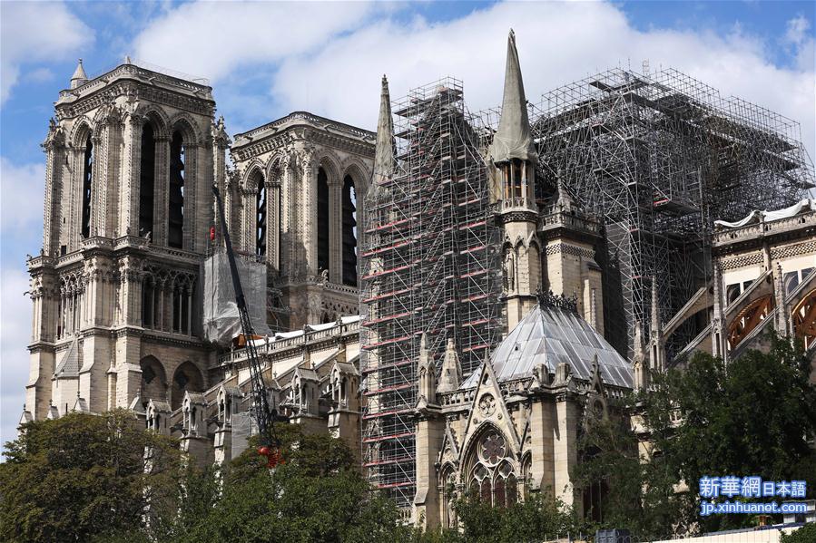 （国际）（5）修缮中的巴黎圣母院