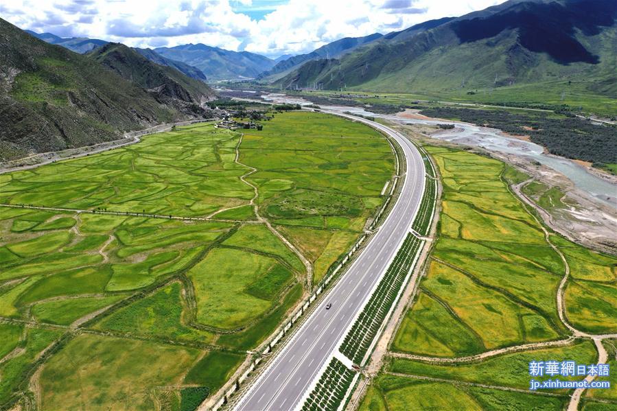 （美丽中国）（3）西藏：拉林公路秋色美