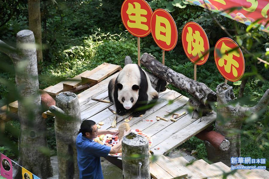 （图文互动）（5）世界现存最年长大熊猫迎来37岁生日