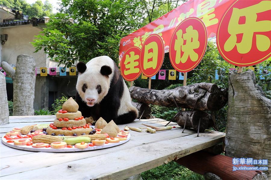 （图文互动）（8）世界现存最年长大熊猫迎来37岁生日