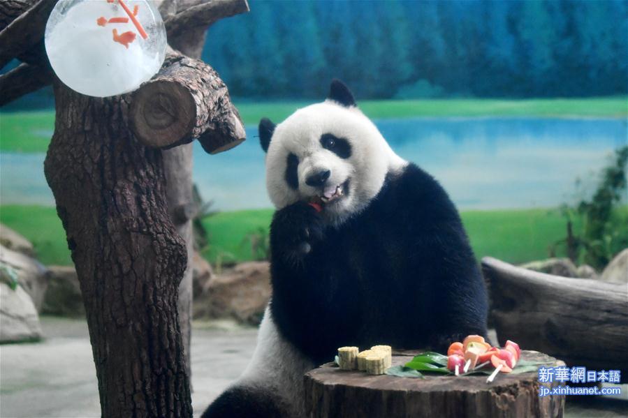 （社会）（1）大熊猫吃“月饼”过中秋