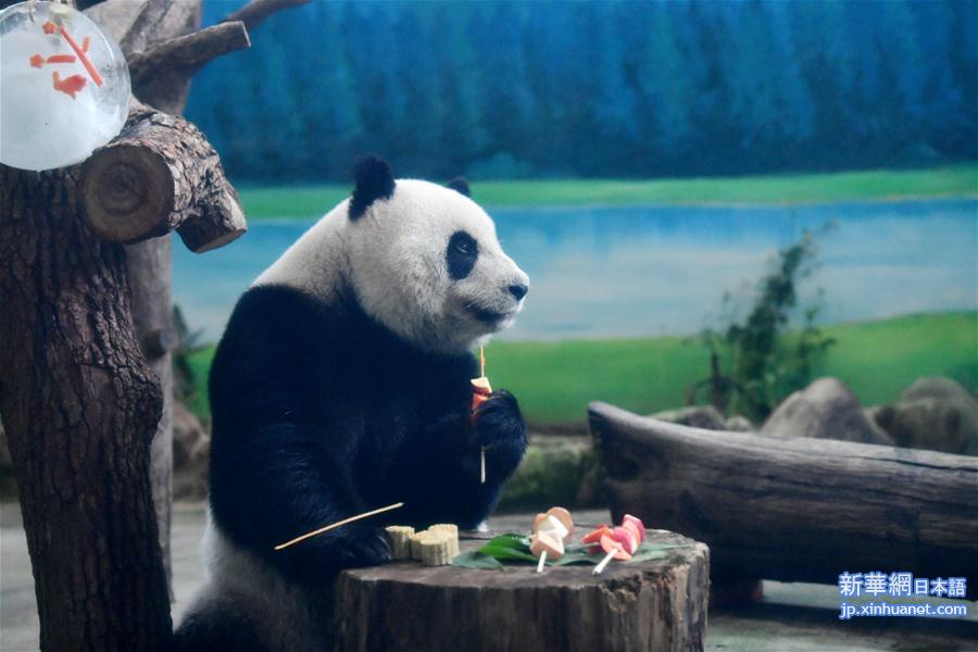 （社会）（5）大熊猫吃“月饼”过中秋
