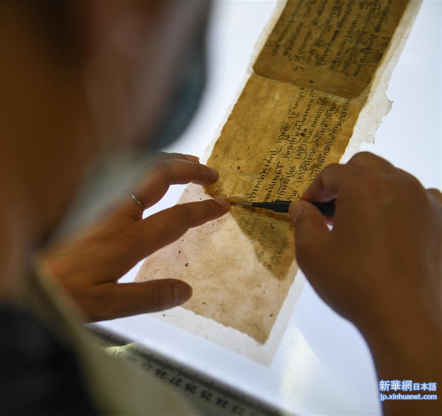 （文化）（2）西藏修复3000余页珍贵濒危古籍文献