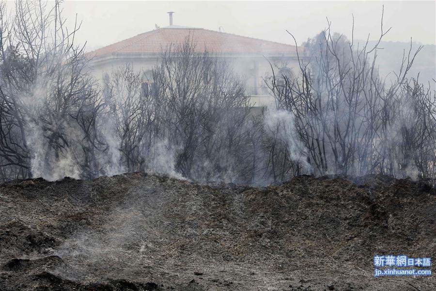 （国际）（1）黎巴嫩突发山林大火