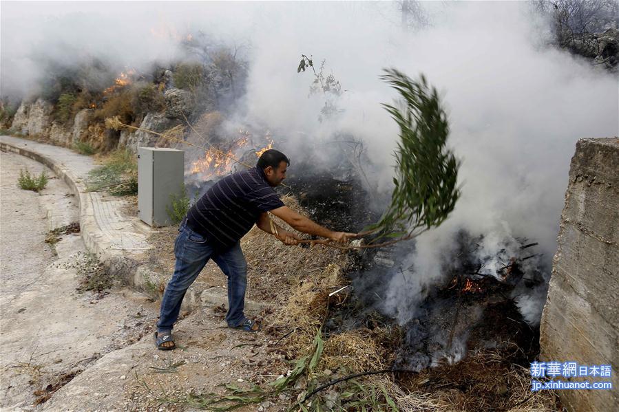 （国际）（6）黎巴嫩突发山林大火