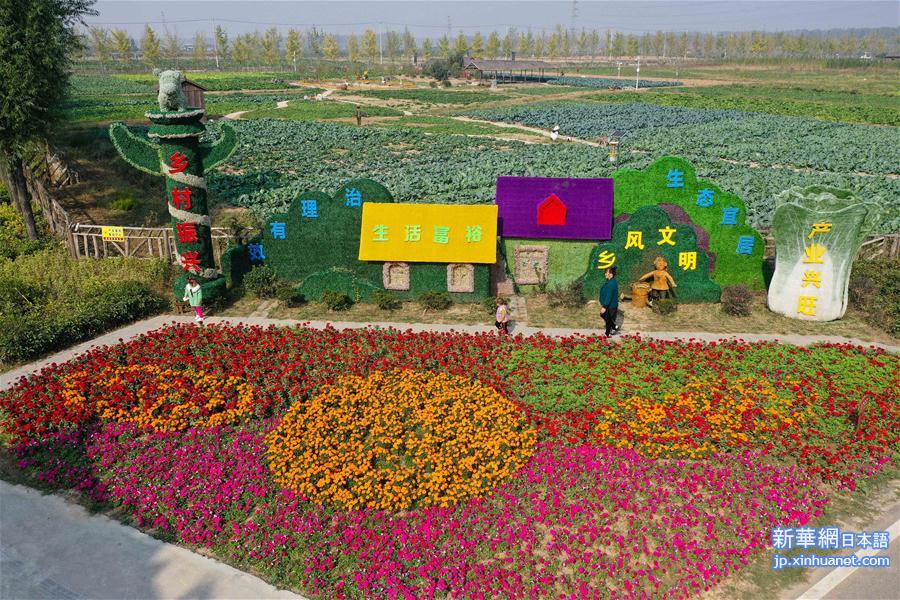 （社会）（2）江苏徐州：建设美丽乡村 提升村民幸福感