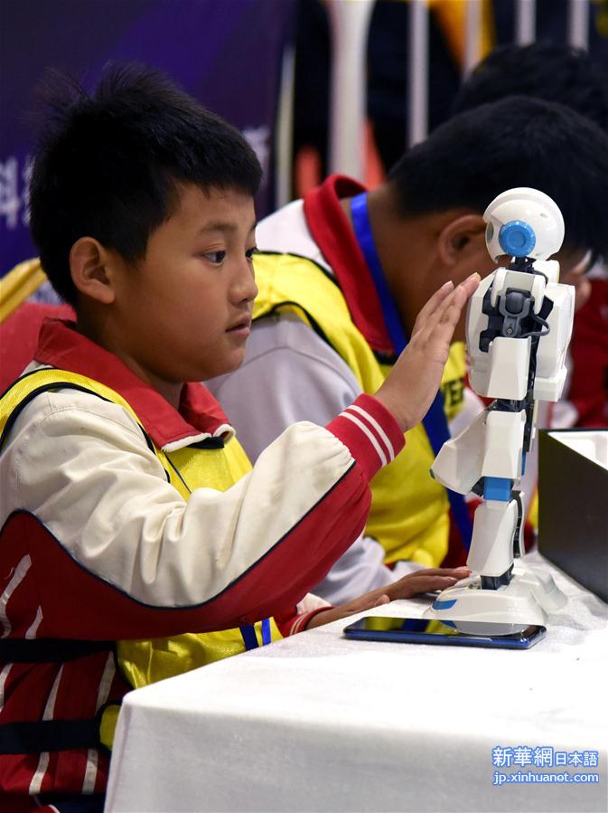 （科技）（4）青少年教育机器人技能大比拼
