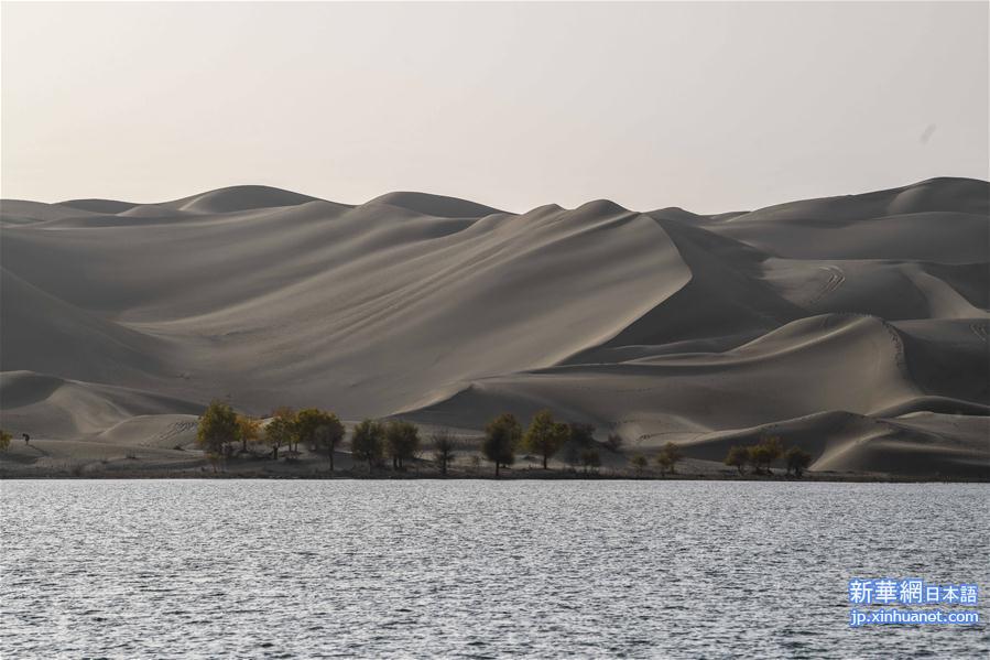 （新华视界）（5）沙漠美景罗布湖