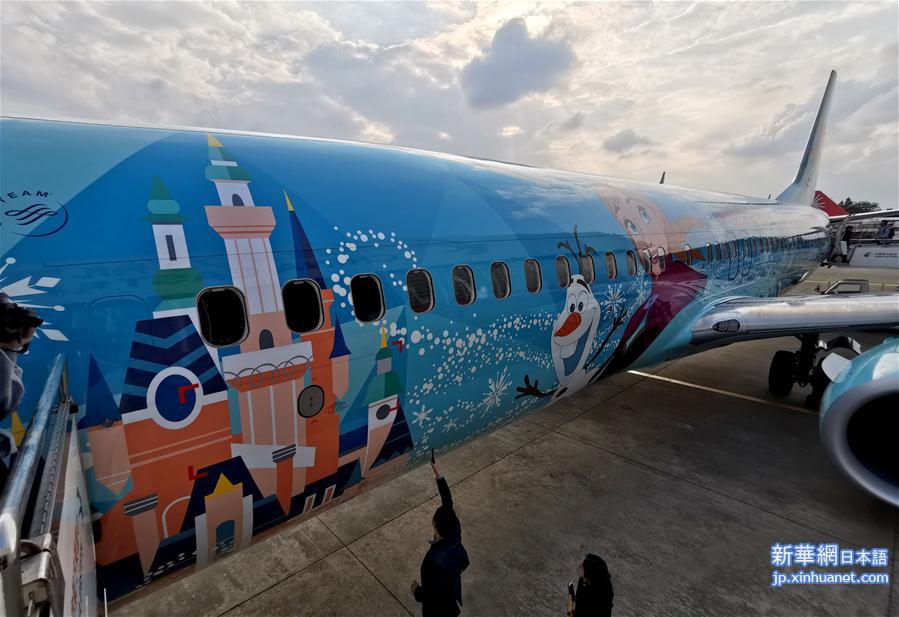 （社会）（2）“冰雪·奇缘号”主题彩绘飞机亮相上海