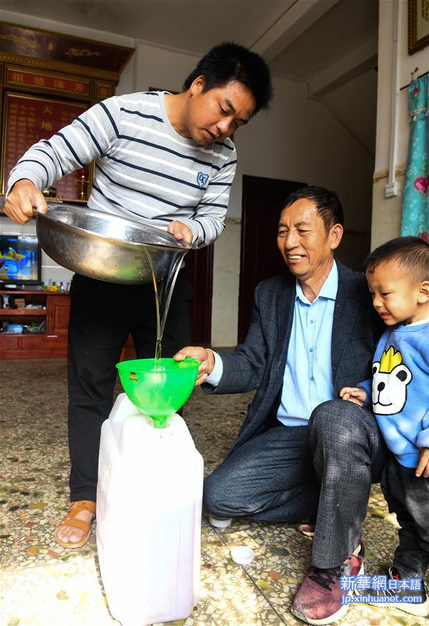 （经济）（4）广西凌云：低产油茶改造助农脱贫