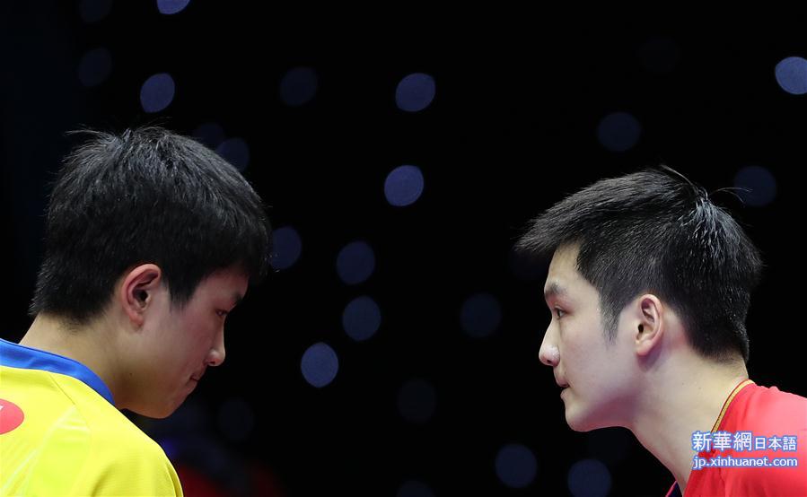 （体育）（12）乒乓球——国际乒联男子世界杯：樊振东夺冠