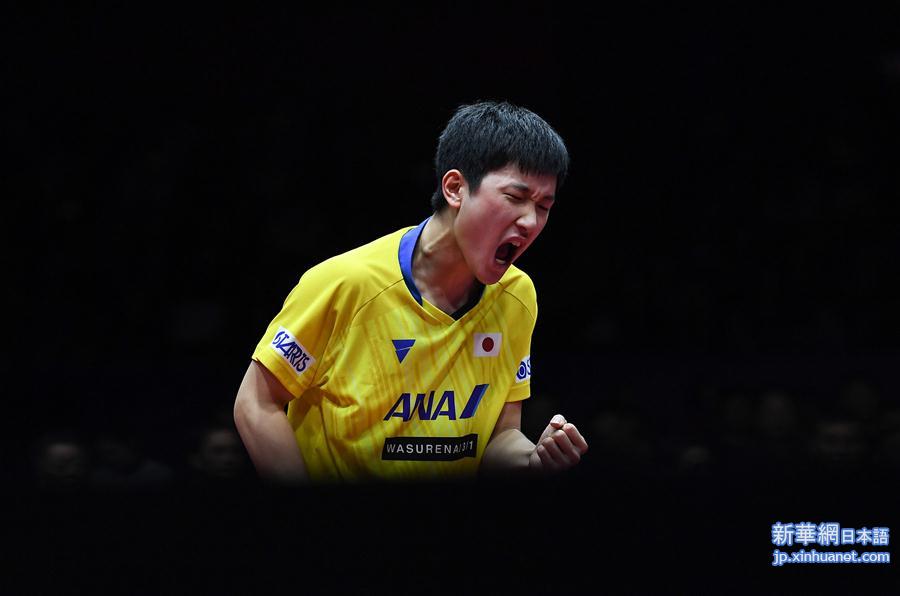（体育）（27）乒乓球——国际乒联男子世界杯：樊振东夺冠
