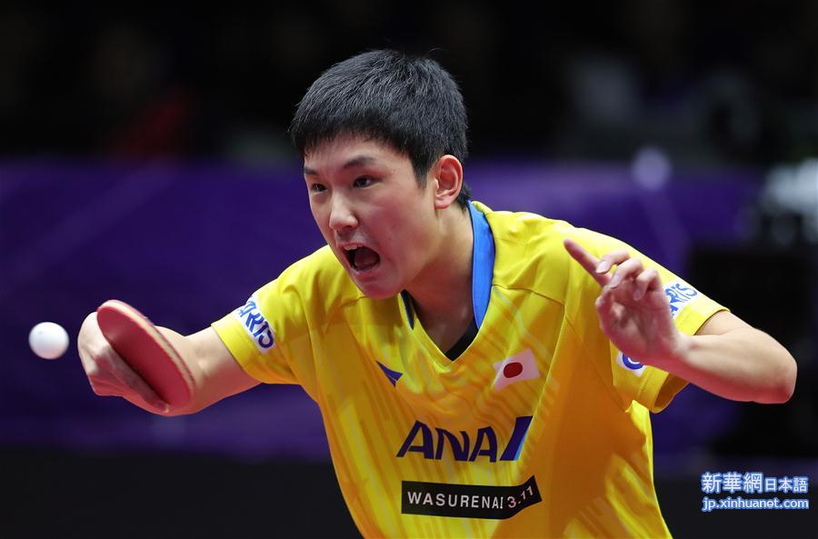 （体育）（29）乒乓球——国际乒联男子世界杯：樊振东夺冠