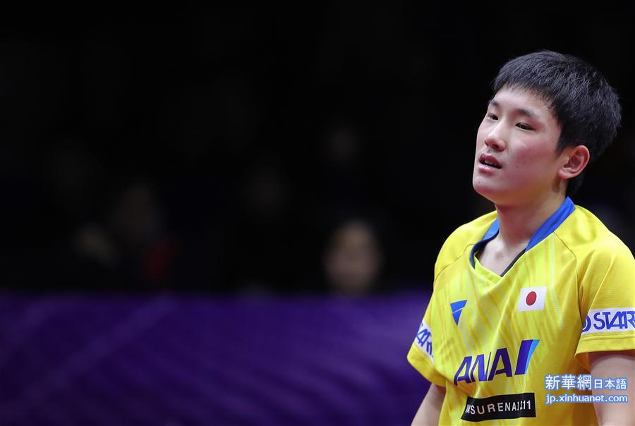 （体育）（31）乒乓球——国际乒联男子世界杯：樊振东夺冠