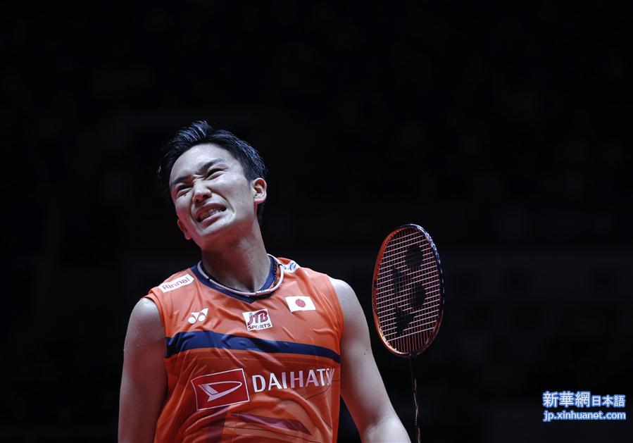（体育）（5）羽毛球——世界巡回赛总决赛：桃田贤斗获男单冠军