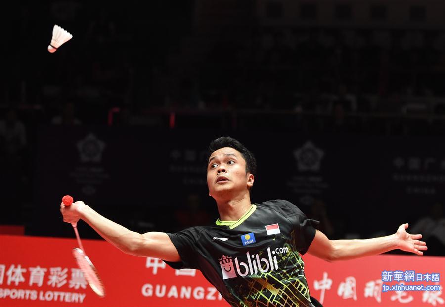 （体育）（12）羽毛球——世界巡回赛总决赛：桃田贤斗获男单冠军