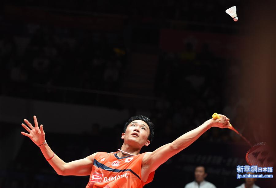 （体育）（13）羽毛球——世界巡回赛总决赛：桃田贤斗获男单冠军