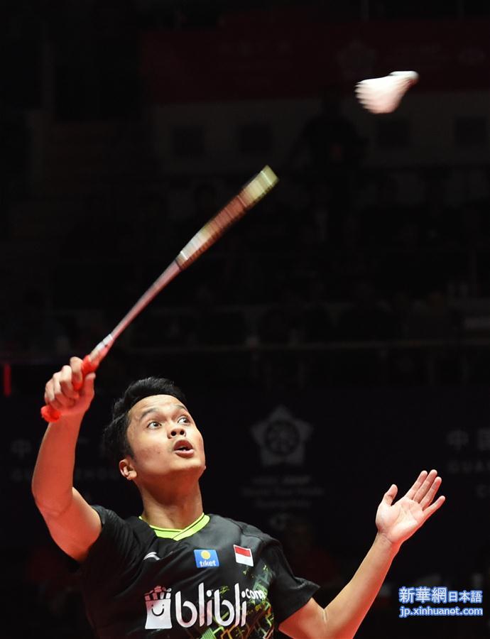（体育）（15）羽毛球——世界巡回赛总决赛：桃田贤斗获男单冠军