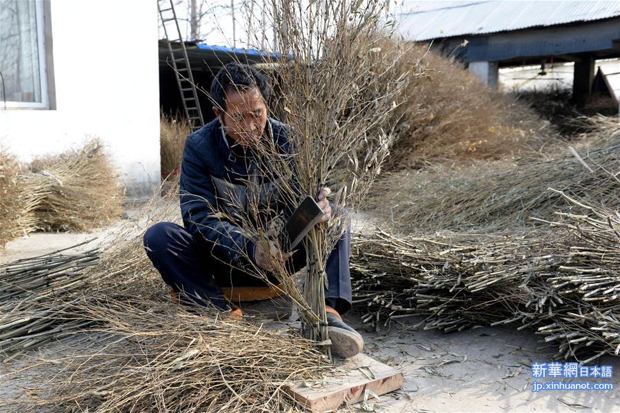 （社会）（1）安徽五河：小扫帚变身大产业