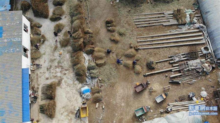 （社会）（3）安徽五河：小扫帚变身大产业