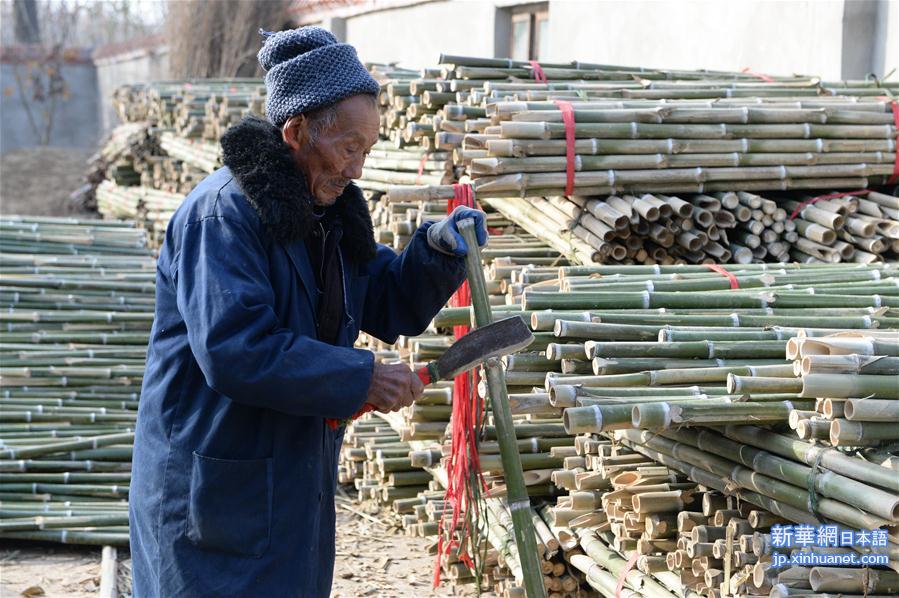 （社会）（4）安徽五河：小扫帚变身大产业