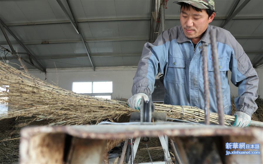 （社会）（5）安徽五河：小扫帚变身大产业