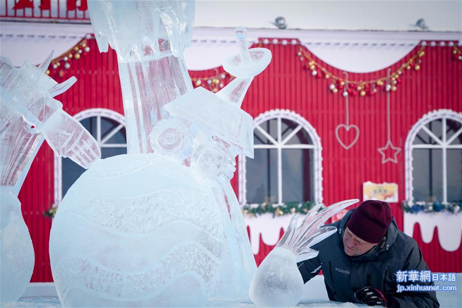 （社会）（3）第九届中国·哈尔滨国际组合冰雕比赛落幕