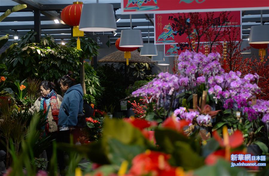 （新华视界）（1）湖南长沙：购花卉 迎新年
