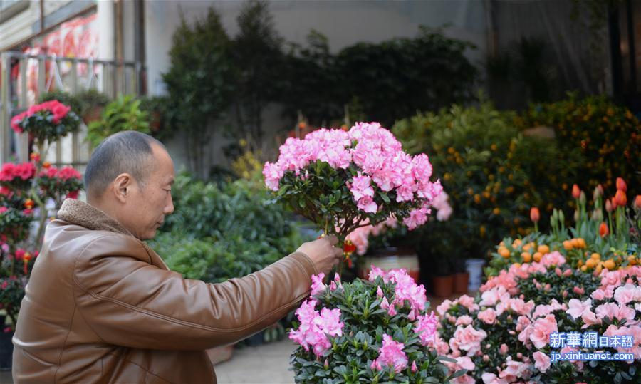 （新华视界）（5）湖南长沙：购花卉 迎新年