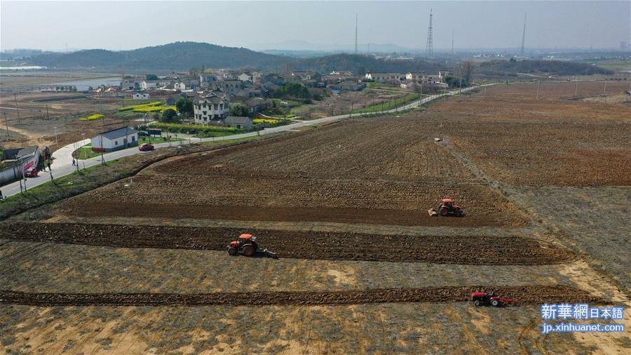 （经济）（2）南京谷里现代农业示范区春耕田管忙