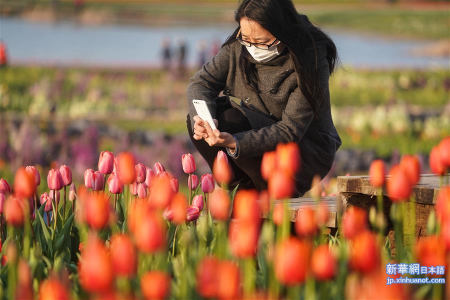 （春季美丽生态）（5）南京：谷里花开迎春来