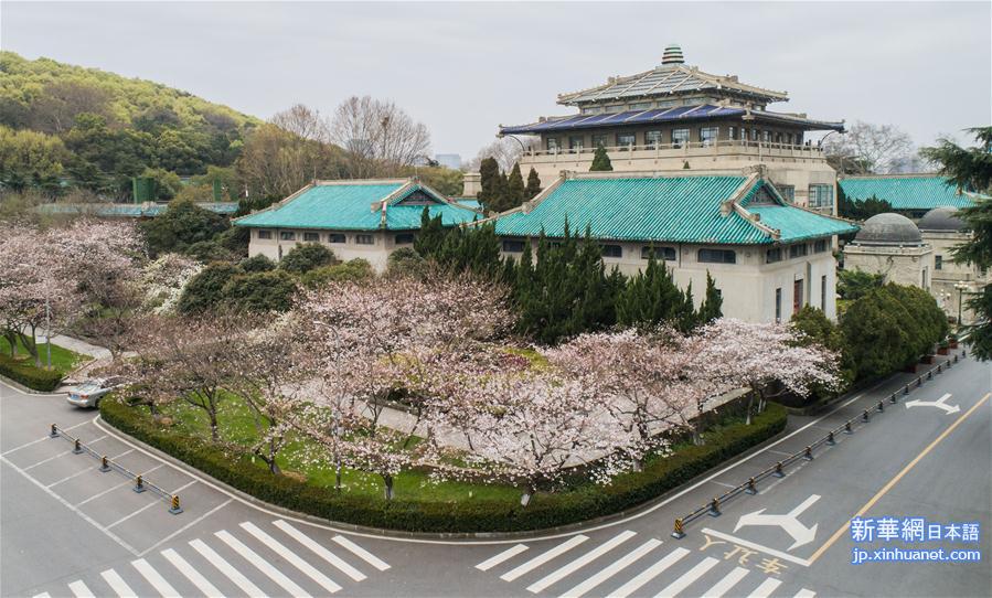 （聚焦疫情防控）（1）武汉大学开通“云赏樱”  向公众展示校园樱花美景