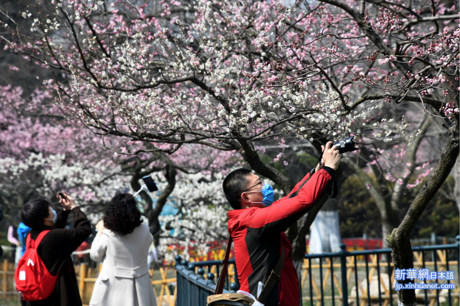 公園で春を満喫 山東省青島市_新華網日本語