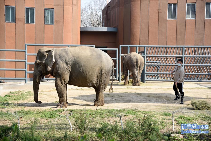 （聚焦疫情防控）（2）济南动物园恢复开园