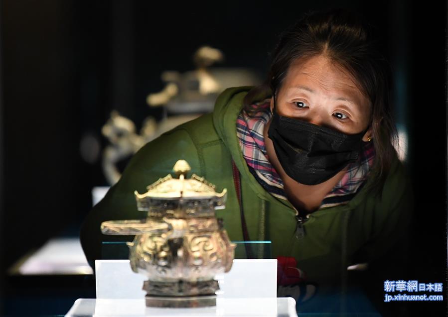 （文化）（1）陕西历史博物馆限流开放