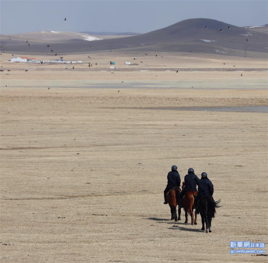 （环境）（3）内蒙古：巡护踏查  保护候鸟