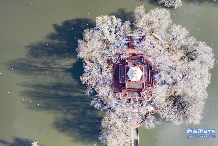 （美丽中国）（4）拉萨雪景美如画