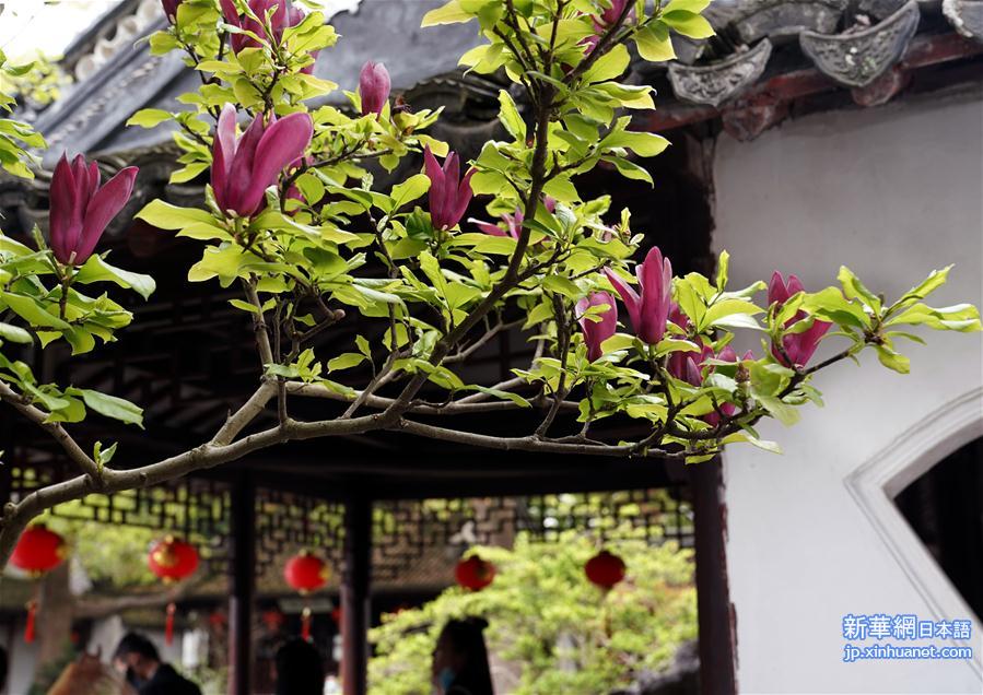 （社会）（4）上海：古典园林春意浓