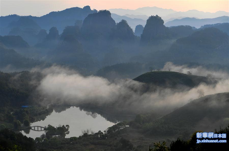 （春季美丽生态）（3）福建武夷山春意盎然 